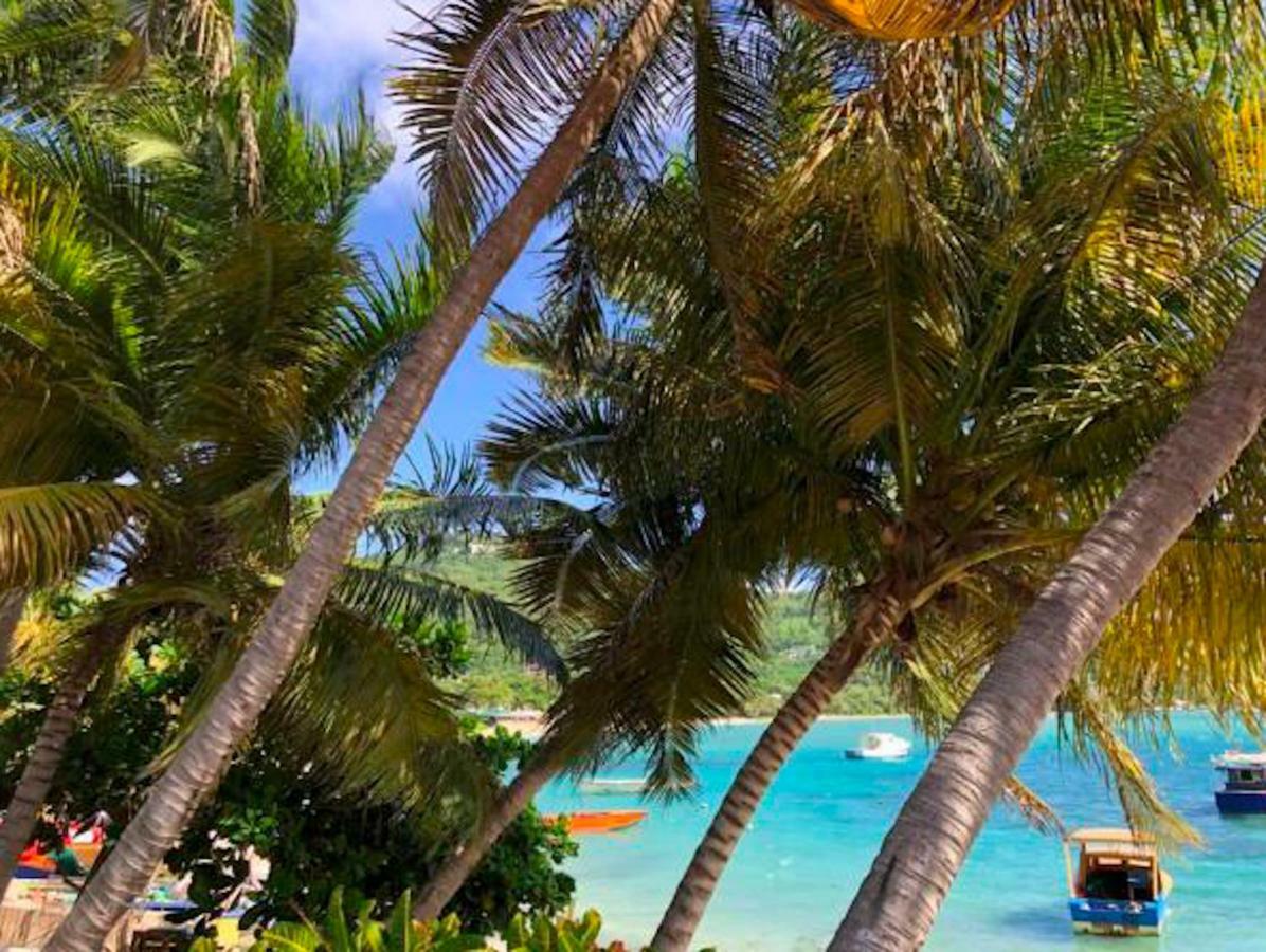 Bequia Beachfront Villa Hotel Friendship المظهر الخارجي الصورة