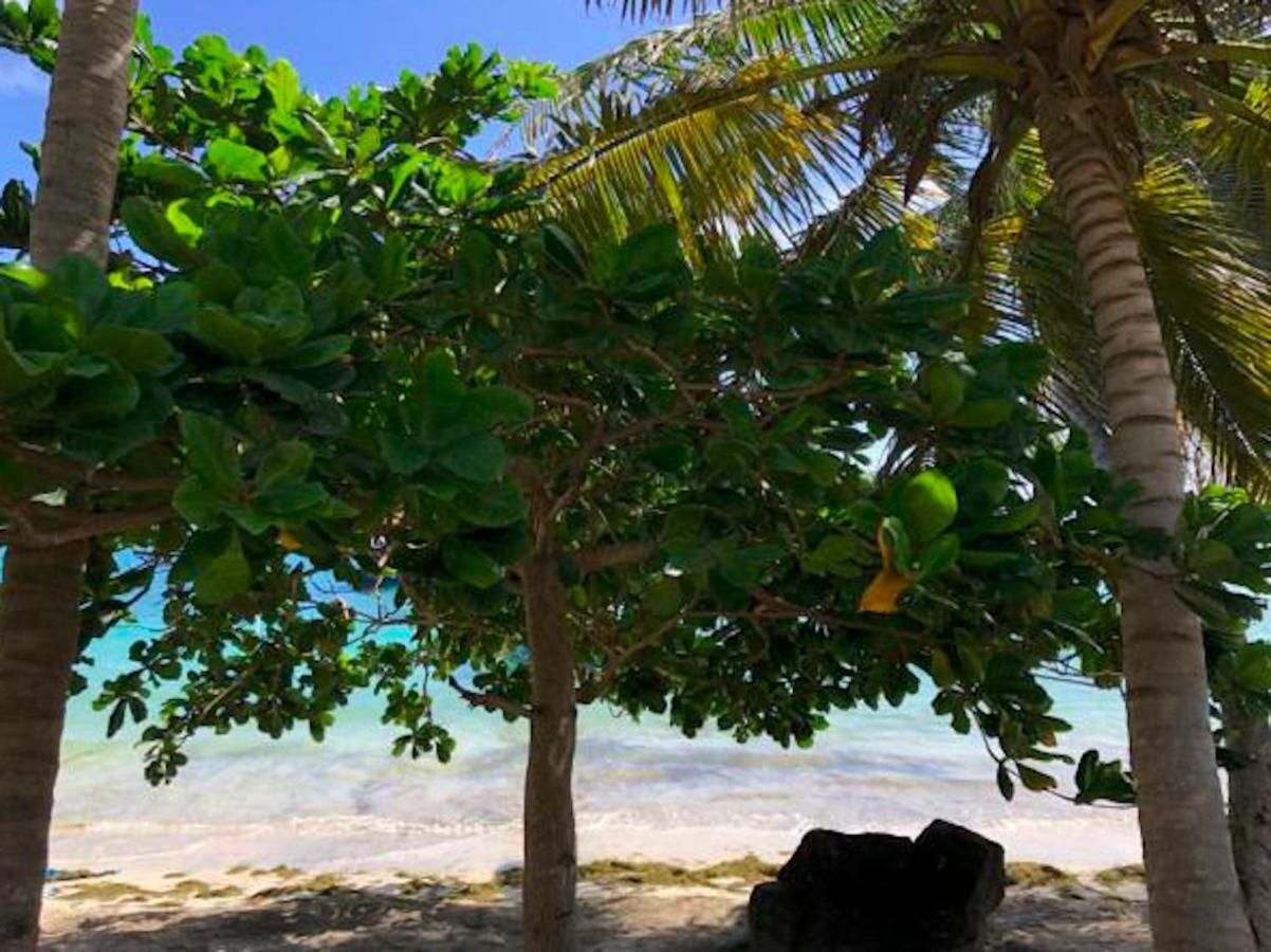Bequia Beachfront Villa Hotel Friendship المظهر الخارجي الصورة