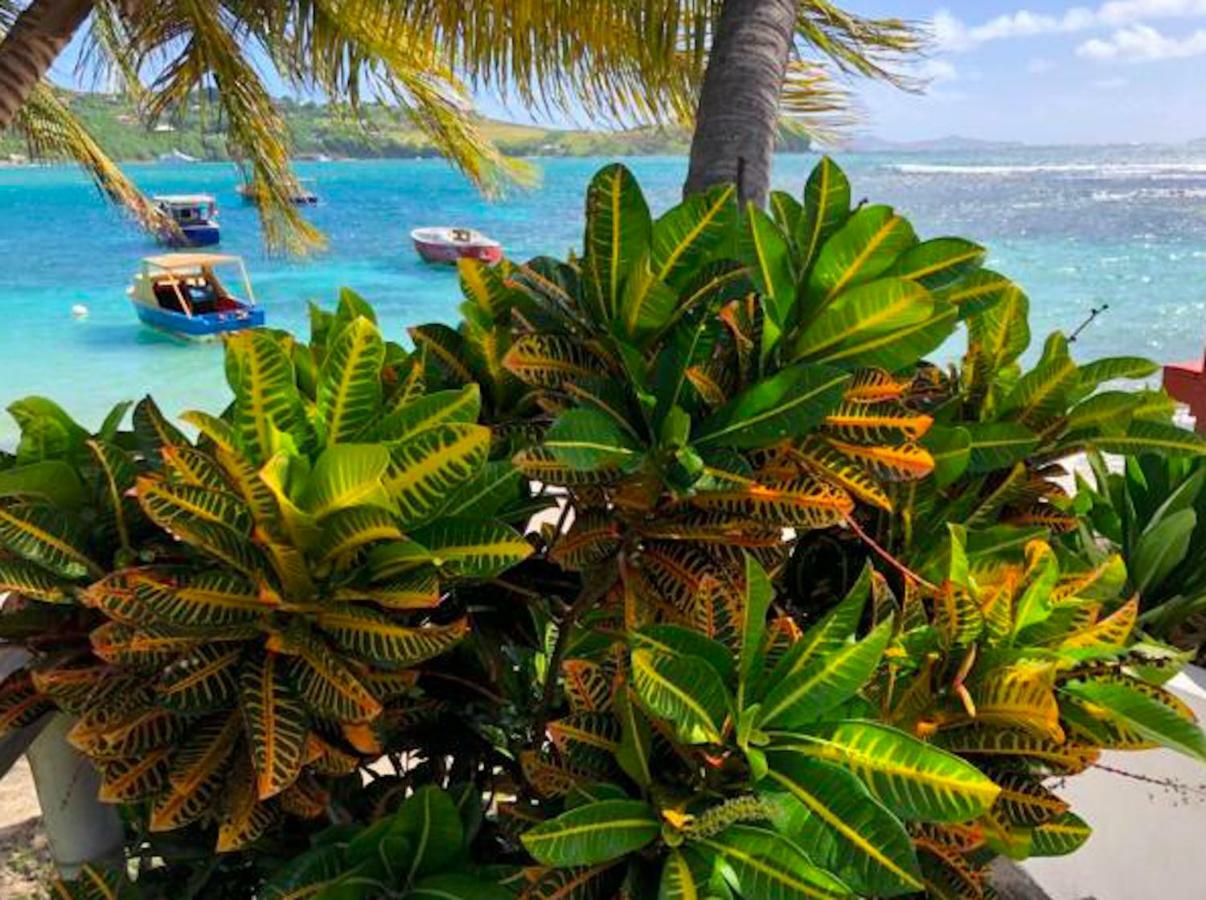 Bequia Beachfront Villa Hotel Friendship المظهر الخارجي الصورة